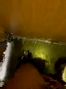 Snapshot of Thilandex chatting on 19, 12, 2025 Thilandex online show from 19, 12, 2025