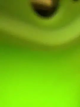 Kacaah online show from 27, 2, 2026