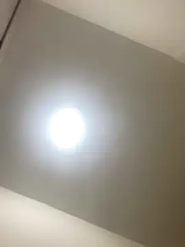 roger rabiit online show from 19, 12, 2025