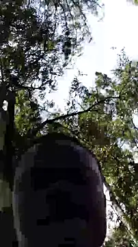 TheVersCouple online show from 15, 1, 2026