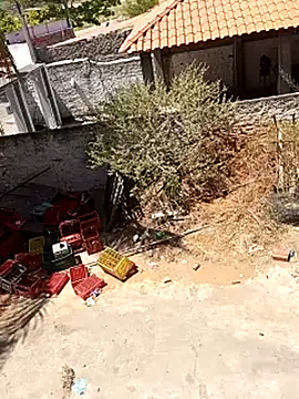  - - bucetuda     online show from 18, 12, 2025