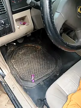 PIGHIGHDIRTY p0 online show from 20, 2, 2026