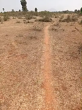 Tamilpaiyan07 online show from 9, 2, 2026