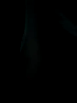 emzoss online show from 20, 12, 2025