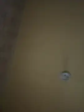 amorasecy online show from 17, 4, 2026