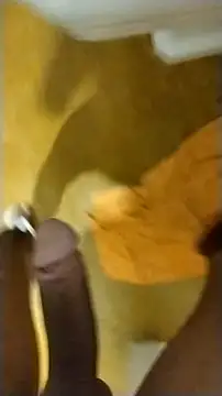 Novinhoie online show from 15, 3, 2026