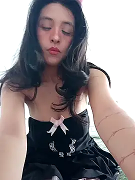 Phoenix Paws online show from 21, 4, 2026