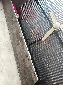 Dipali4 online show from 23, 12, 2025