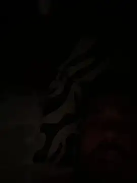 paco199923 online show from 4, 2, 2026