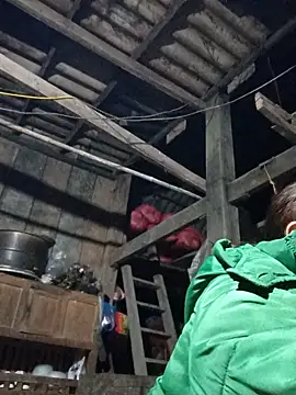 dakota-kis online show from 1, 2, 2026