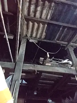 dakota-kis online show from 30, 3, 2026