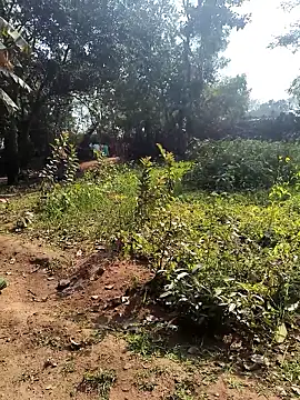 Snapshot of janbi_sexe chatting on 14, 1, 2026 janbi sexe online show from 14, 1, 2026