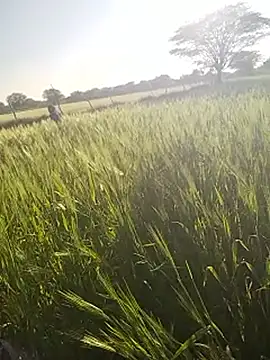 hornycouple20000 online show from 14, 1, 2026