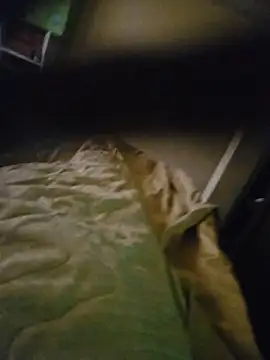 Xavlex0803 online show from 17, 4, 2026