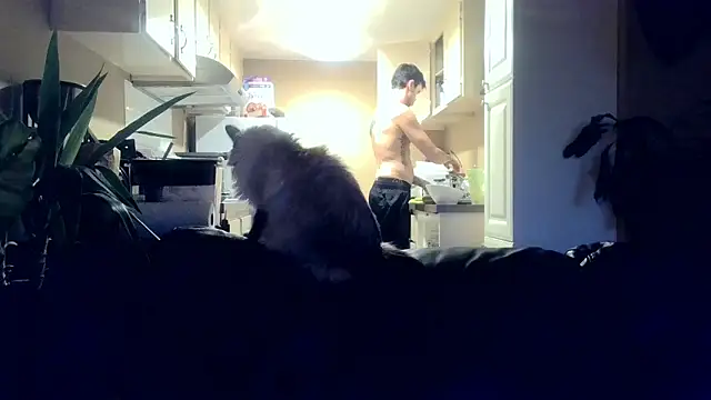 skateboardskate online show from 16, 1, 2026