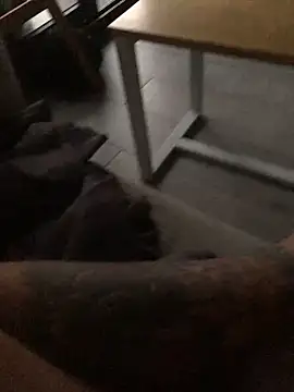 psilocibina22 online show from 20, 2, 2026