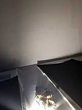 RealisedBooking online show from 26, 2, 2026