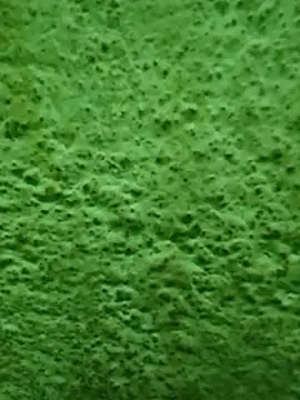 Pagelboy 089 online show from 8, 4, 2026