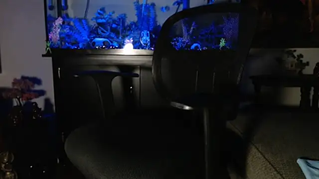 EspanolVato online show from 10, 1, 2026