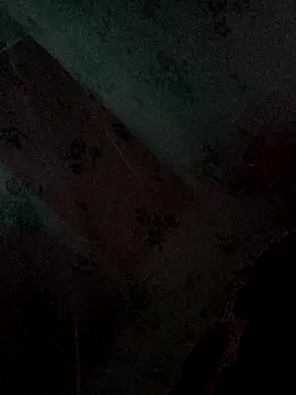 Snapshot of Monisha9876 chatting on 14, 1, 2026 Monisha9876 online show from 14, 1, 2026