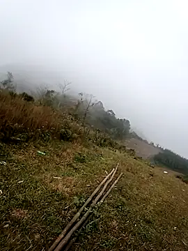 him220 online show from 15, 2, 2026