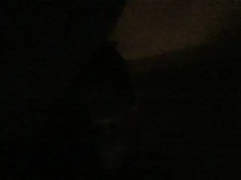 Snapshot of kwandero1234 chatting on 9, 1, 2026 kwandero1234 online show from 9, 1, 2026