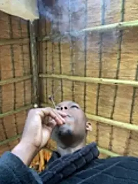 Snapshot of kwandero1234 chatting on 14, 1, 2026 kwandero1234 online show from 14, 1, 2026