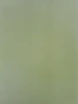 Snapshot of Amelia9798 chatting on 1, 5, 2026 Amelia9798 online show from 1, 5, 2026