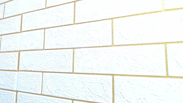 millybell303av online show from 23, 2, 2026