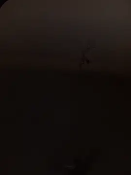 KINGPEARL69 online show from 10, 1, 2026