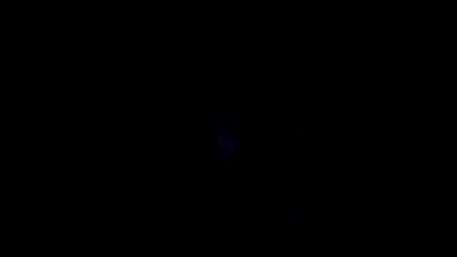 NeedyQueen online show from 14, 3, 2026