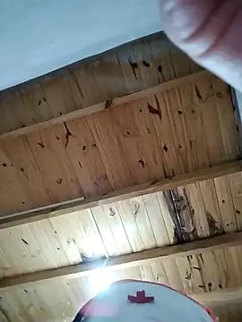 denise2028 online show from 15, 1, 2026