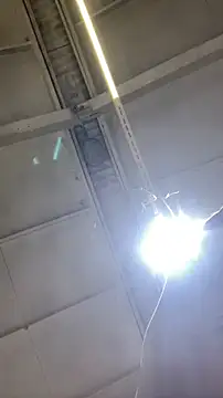 Dildogang online show from 11, 2, 2026