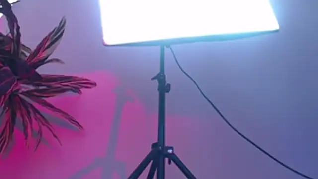 KimiNaru online show from 3, 3, 2026