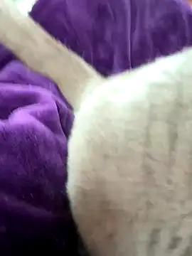 cdfemnaty online show from 9, 1, 2026