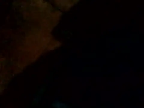 Guanatos13 online show from 24, 2, 2026