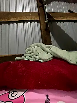 Xo xo237 online show from 12, 1, 2026