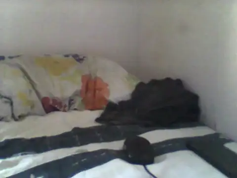 handsomeguy02 online show from 14, 4, 2026