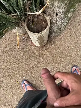 dogfrota online show from 11, 1, 2026