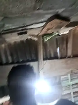 Pasivitoii online show from 21, 3, 2026