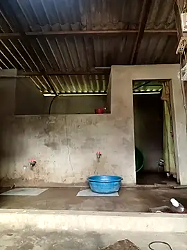 -Likin- online show from 31, 3, 2026