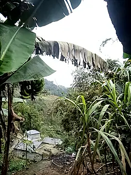 kaia-cam online show from 20, 2, 2026