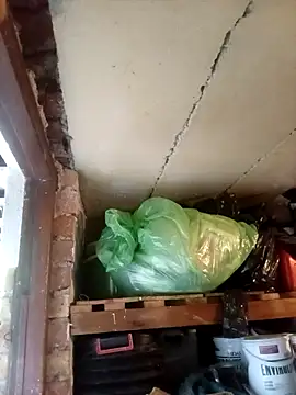 dicklife3485 online show from 17, 4, 2026