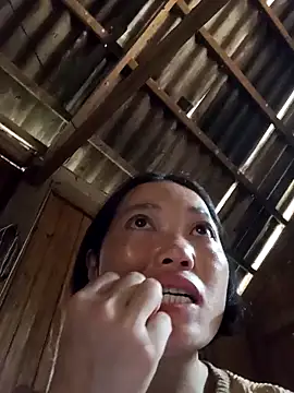 kotaka-shoow online show from 2, 3, 2026