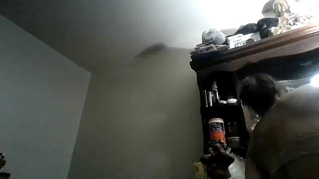 LadySn0w26 online show from 6, 8, 2026