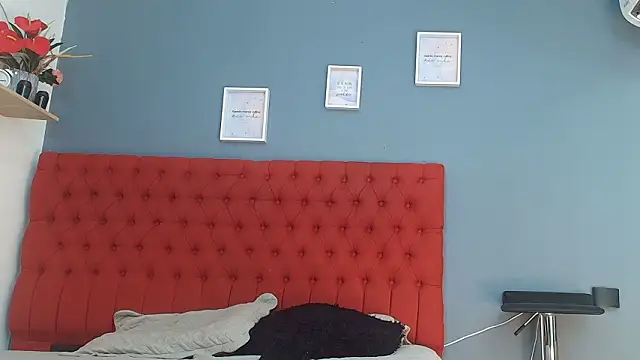 sofia laverde online show from 12, 2, 2026