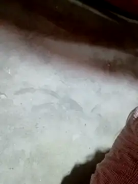 Gummiesu online show from 18, 2, 2026