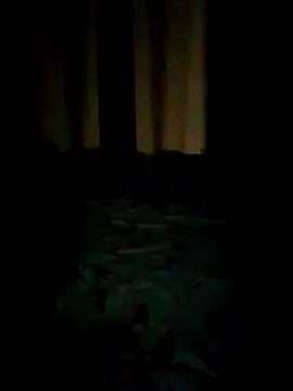 Eide-26 online show from 22, 4, 2026