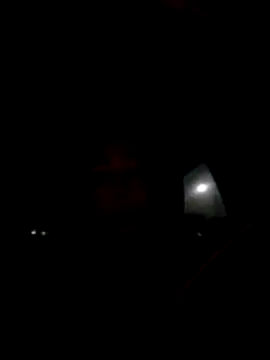 dewimp1 online show from 5, 3, 2026