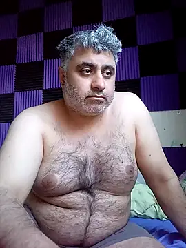 Bear 1985 online show from 29, 4, 2026